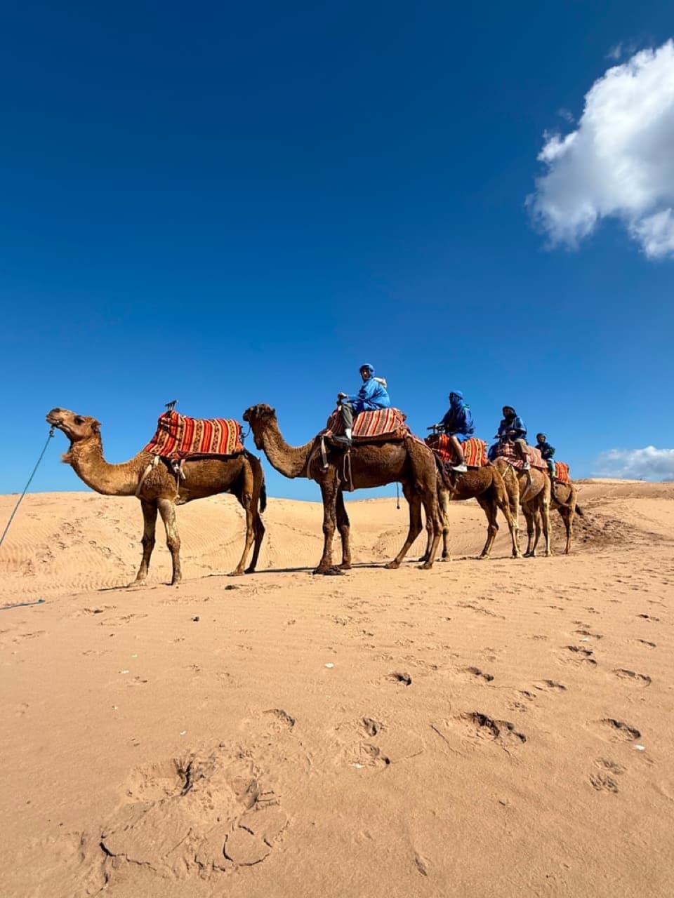 Voyage dans le Désert & Sahara